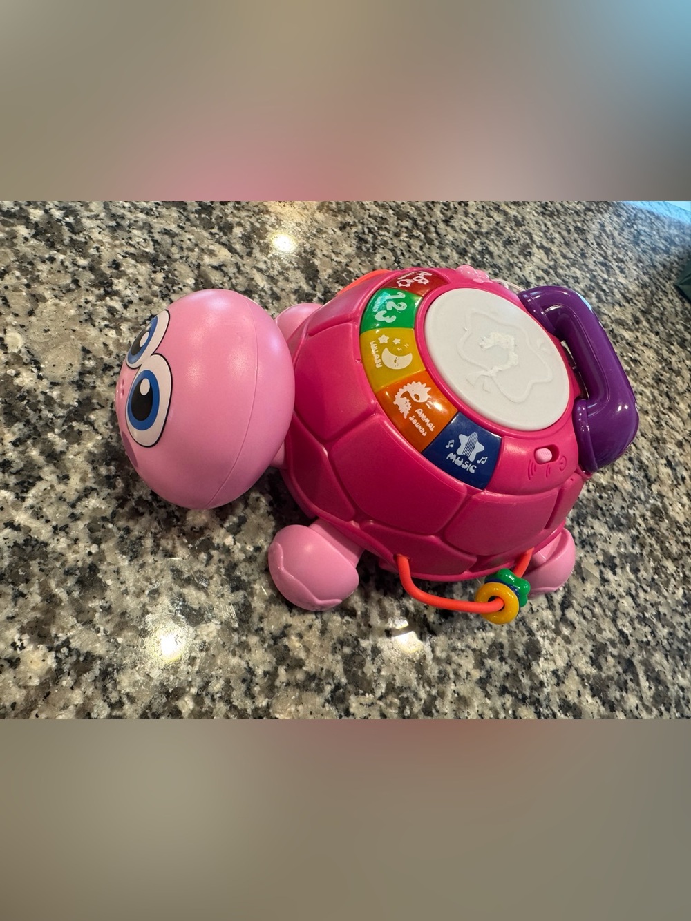 Pink Interactive Musical Turtle Toy for Kids
